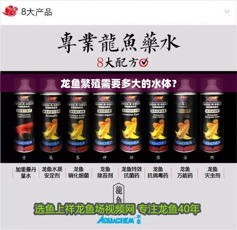龍魚繁殖需要多大的水體？