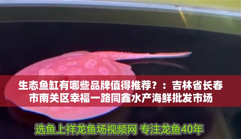 生態(tài)魚(yú)缸有哪些品牌值得推薦？：吉林省長(zhǎng)春市南關(guān)區(qū)幸福一路同鑫水產(chǎn)海鮮批發(fā)市場(chǎng)