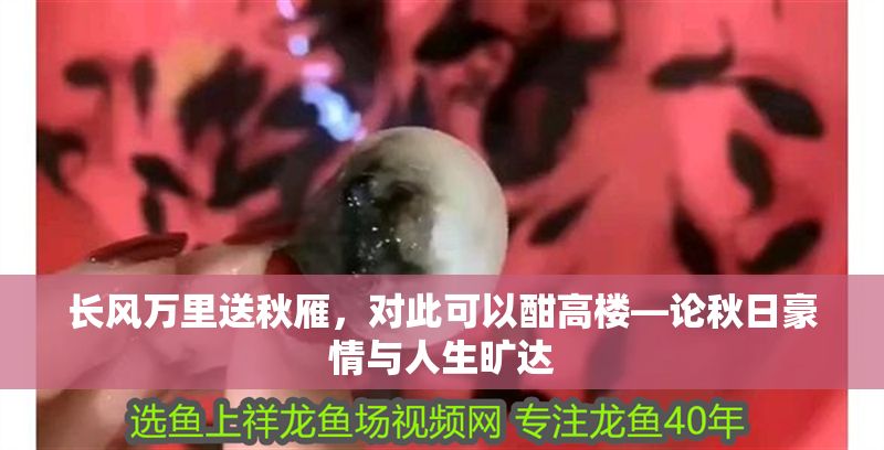 長風萬里送秋雁，對此可以酣高樓—論秋日豪情與人生曠達