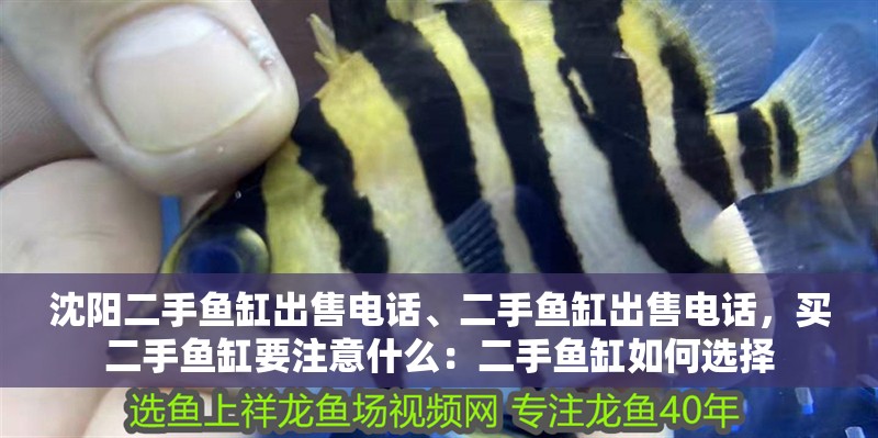 沈陽二手魚缸出售電話、二手魚缸出售電話，買二手魚缸要注意什么：二手魚缸如何選擇