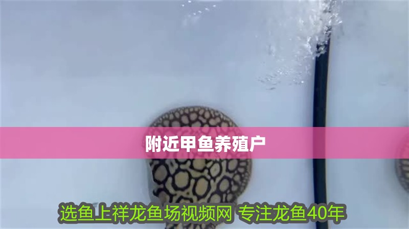 附近甲魚養殖戶