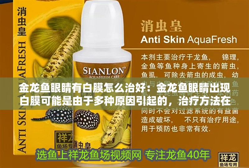 金龍魚眼睛有白膜怎么治好：金龍魚眼睛出現白膜可能是由于多種原因引起的，治療方法在這