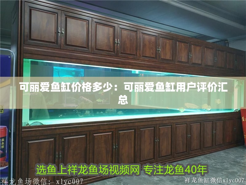 可麗愛魚缸價格多少：可麗愛魚缸用戶評價匯總