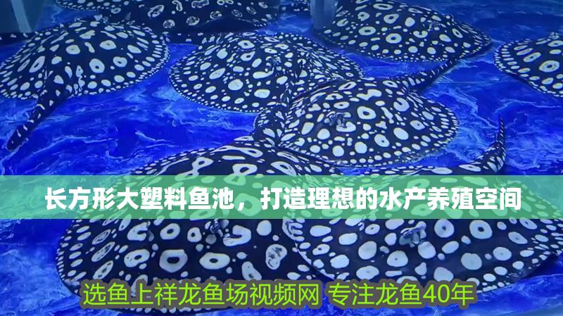 長方形大塑料魚池，打造理想的水產養殖空間
