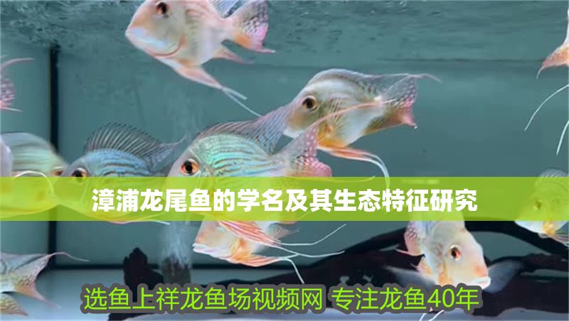 漳浦龍尾魚(yú)的學(xué)名及其生態(tài)特征研究