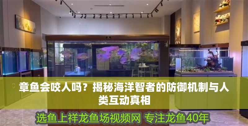 章魚會咬人嗎？揭秘海洋智者的防御機制與人類互動真相