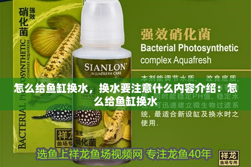 怎么給魚缸換水，換水要注意什么內容介紹：怎么給魚缸換水