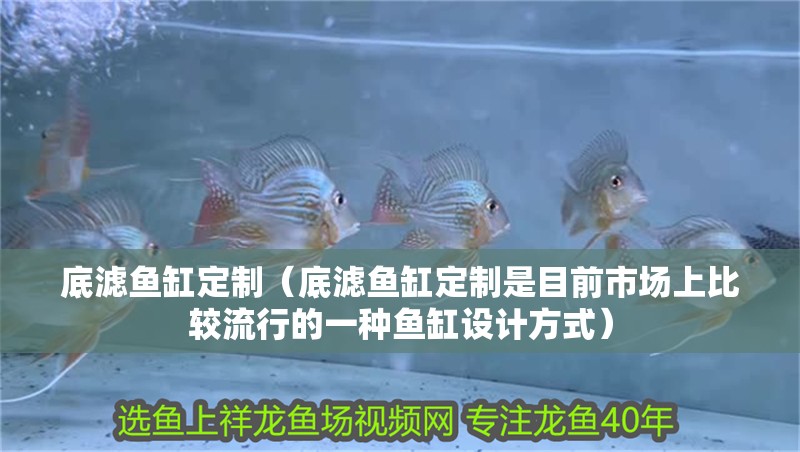 底濾魚缸定制（底濾魚缸定制是目前市場上比較流行的一種魚缸設計方式）