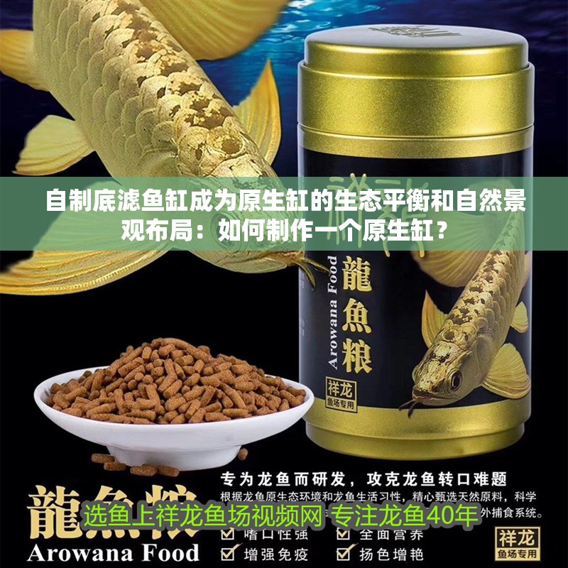 自制底濾魚缸成為原生缸的生態平衡和自然景觀布局：如何制作一個原生缸？