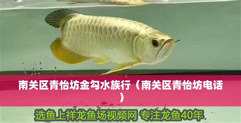 南關(guān)區(qū)青怡坊金勾水族行（南關(guān)區(qū)青怡坊電話） 南關(guān)區(qū)青怡坊金勾水族行（南關(guān)區(qū)青怡坊電話） 全國水族館企業(yè)名錄