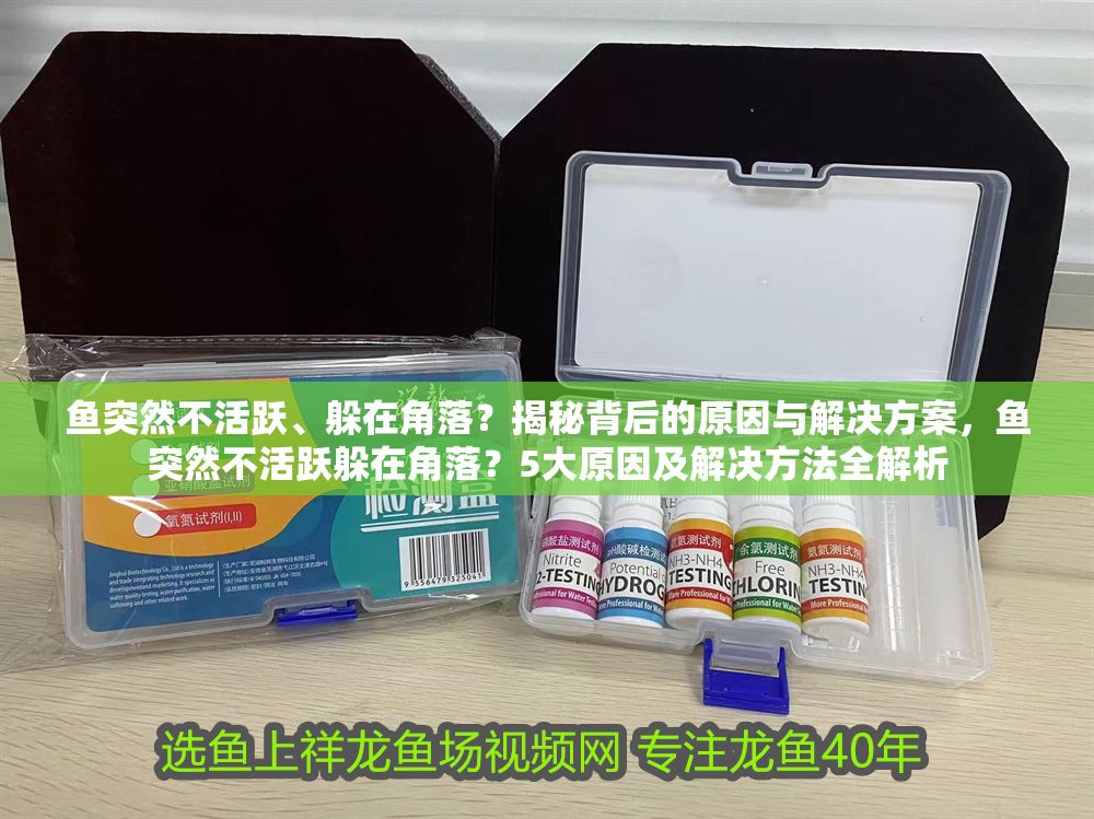 魚突然不活躍、躲在角落？揭秘背后的原因與解決方案，魚突然不活躍躲在角落？5大原因及解決方法全解析