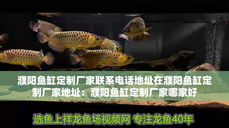 濮陽魚缸定制廠家聯系電話地址在濮陽魚缸定制廠家地址：濮陽魚缸定制廠家哪家好