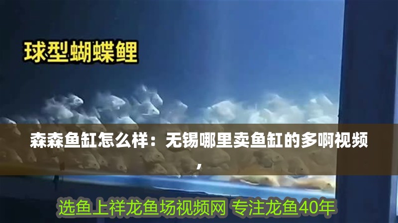 森森魚缸怎么樣：無錫哪里賣魚缸的多啊視頻,