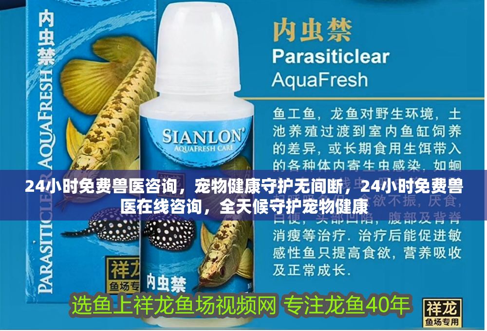 24小時免費獸醫咨詢，寵物健康守護無間斷，24小時免費獸醫在線咨詢，全天候守護寵物健康