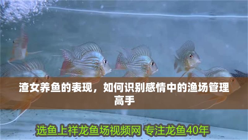 渣女養(yǎng)魚的表現(xiàn)，如何識別感情中的漁場管理高手