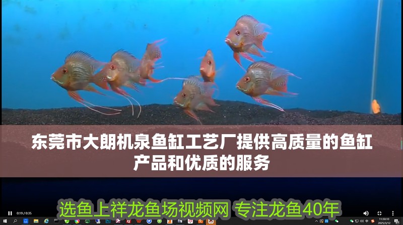 東莞市大朗機(jī)泉魚缸工藝廠提供高質(zhì)量的魚缸產(chǎn)品和優(yōu)質(zhì)的服務(wù)