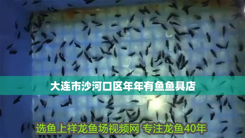 大連市沙河口區(qū)年年有魚魚具店