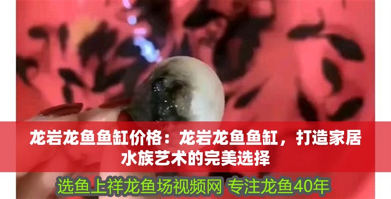 龍巖龍魚魚缸價格：龍巖龍魚魚缸，打造家居水族藝術的完美選擇