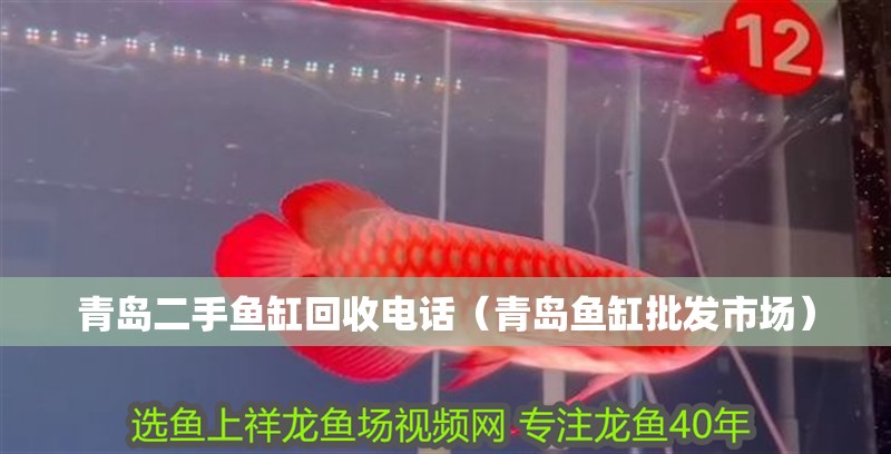 青島二手魚缸回收電話（青島魚缸批發市場）