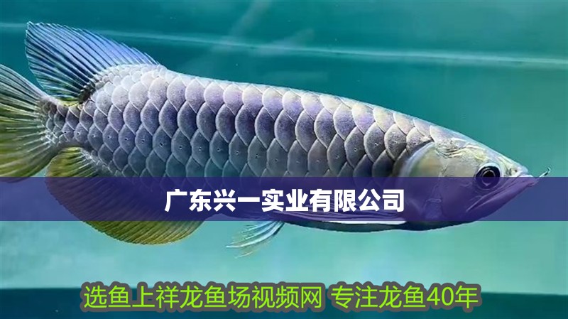 廣東興一實(shí)業(yè)有限公司