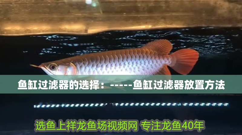 魚缸過濾器的選擇：-----魚缸過濾器放置方法