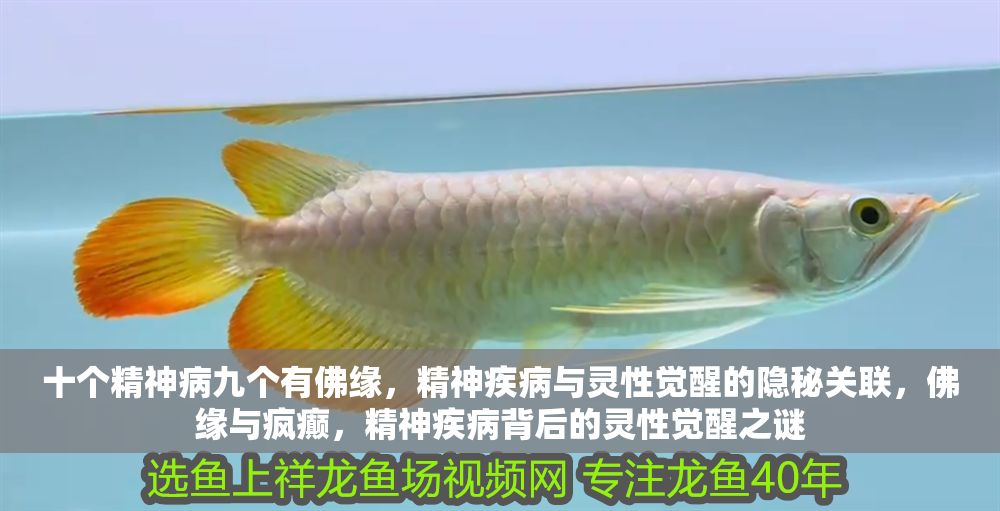 十個(gè)精神病九個(gè)有佛緣，精神疾病與靈性覺(jué)醒的隱秘關(guān)聯(lián)，佛緣與瘋癲，精神疾病背后的靈性覺(jué)醒之謎