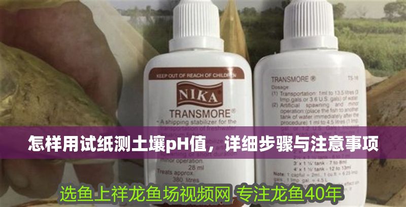 怎樣用試紙測土壤pH值，詳細步驟與注意事項