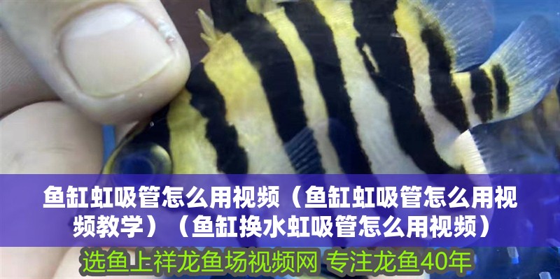 魚缸虹吸管怎么用視頻（魚缸虹吸管怎么用視頻教學）（魚缸換水虹吸管怎么用視頻）