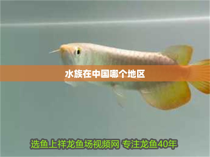 水族在中國哪個地區