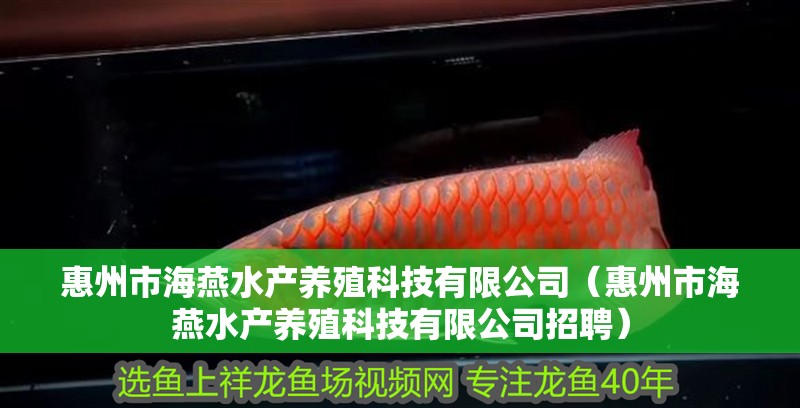 惠州市海燕水產養殖科技有限公司（惠州市海燕水產養殖科技有限公司招聘）