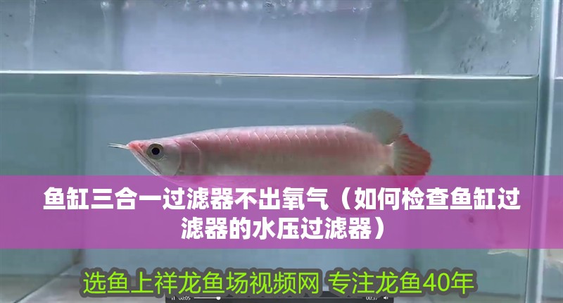 魚缸三合一過濾器不出氧氣（如何檢查魚缸過濾器的水壓過濾器）