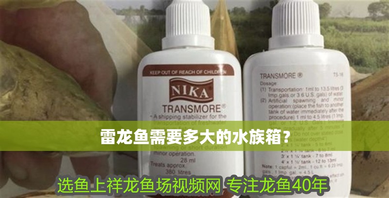 雷龍魚需要多大的水族箱？