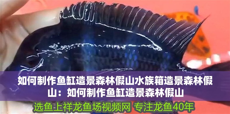 如何制作魚缸造景森林假山水族箱造景森林假山：如何制作魚缸造景森林假山
