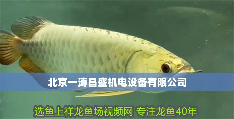 北京一濤昌盛機電設(shè)備有限公司