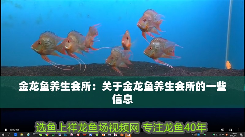 金龍魚養生會所：關于金龍魚養生會所的一些信息