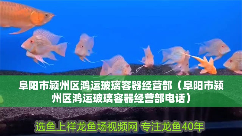 阜陽市潁州區(qū)鴻運(yùn)玻璃容器經(jīng)營部（阜陽市潁州區(qū)鴻運(yùn)玻璃容器經(jīng)營部電話）