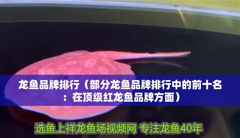 龍魚品牌排行（部分龍魚品牌排行中的前十名：在頂級紅龍魚品牌方面）