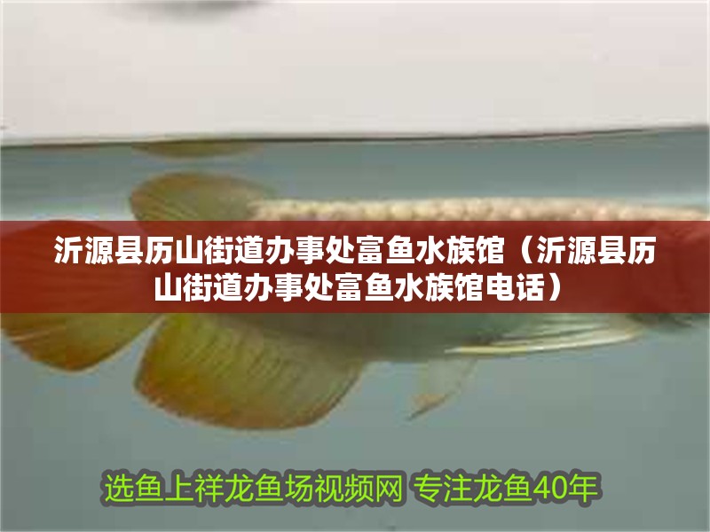 <strong><mark>沂源</mark></strong>縣歷山街道辦事處富魚水族館（<strong><mark>沂源</mark></strong>縣歷山街道辦事處富魚水族館電話）