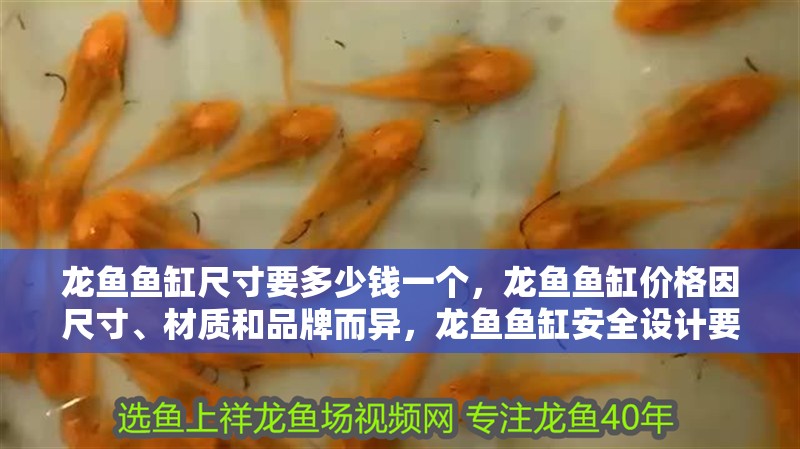 龍魚魚缸尺寸要多少錢一個，龍魚魚缸價格因尺寸、材質和品牌而異，龍魚魚缸安全設計要點
