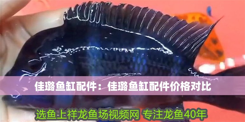 佳璐魚缸配件：佳璐魚缸配件價格對比