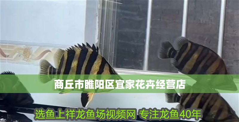 商丘市睢陽區(qū)宜家花卉經(jīng)營店