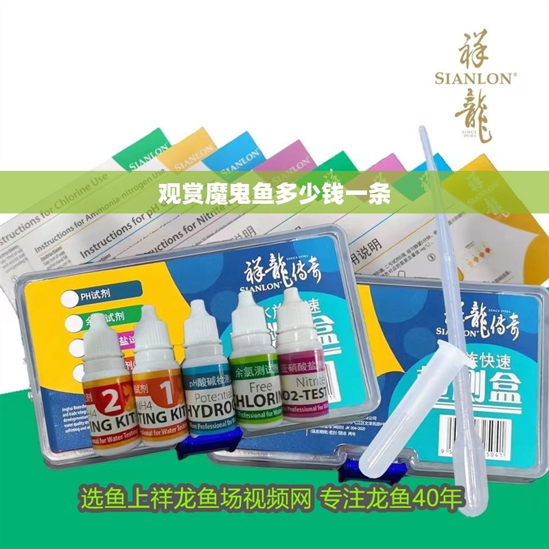 觀賞魔鬼魚多少錢一條