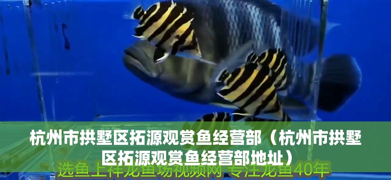 杭州市<strong><mark>拱墅</mark></strong>區拓源觀賞魚經營部（杭州市<strong><mark>拱墅</mark></strong>區拓源觀賞魚經營部地址）