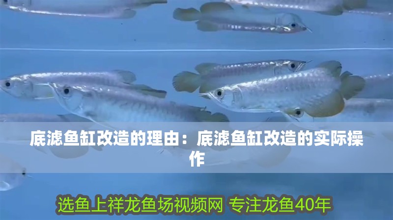 底濾魚缸改造的理由：底濾魚缸改造的實際操作