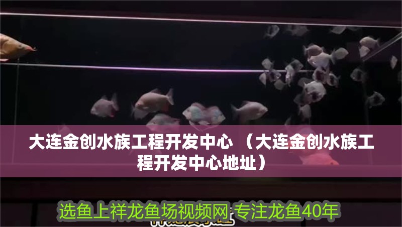 大連金創水族工程開發中心 （大連金創水族工程開發中心地址）