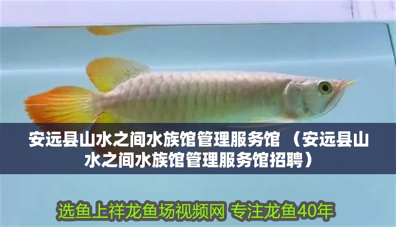 安遠縣山水之間水族館管理服務館 （安遠縣山水之間水族館管理服務館招聘）