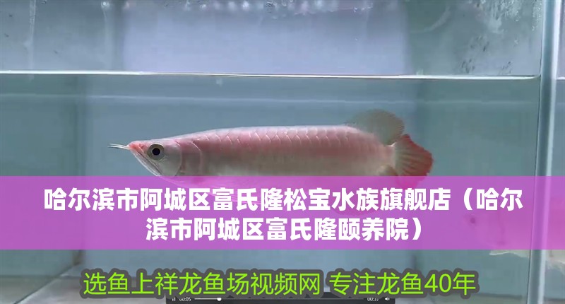 哈爾濱市阿城區(qū)富氏隆松寶水族旗艦店（哈爾濱市阿城區(qū)富氏隆頤養(yǎng)院）