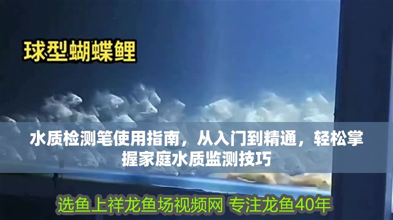 水質檢測筆使用指南，從入門到精通，輕松掌握家庭水質監測技巧