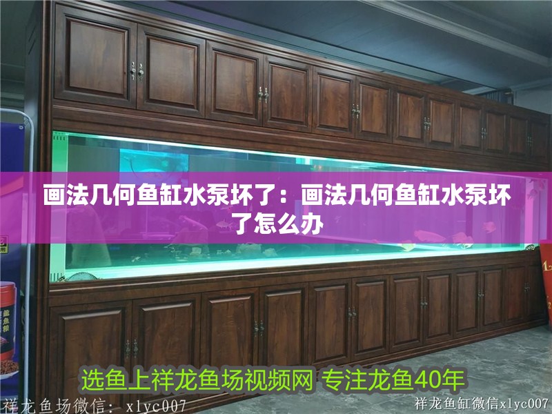 畫法幾何魚缸水泵壞了：畫法幾何魚缸水泵壞了怎么辦