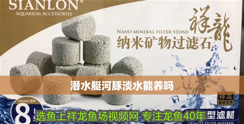 潛水艇河豚淡水能養嗎